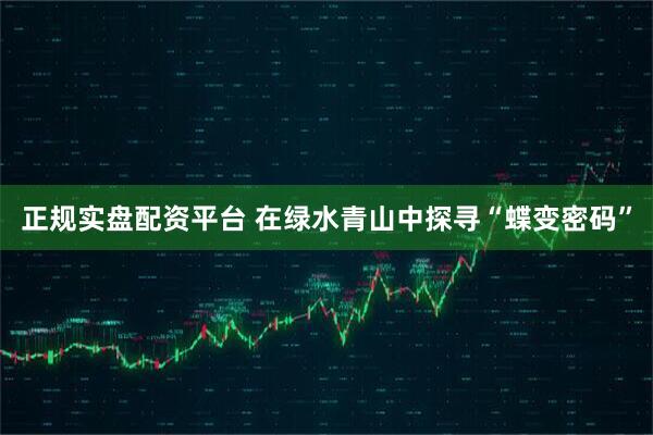 正规实盘配资平台 在绿水青山中探寻“蝶变密码”